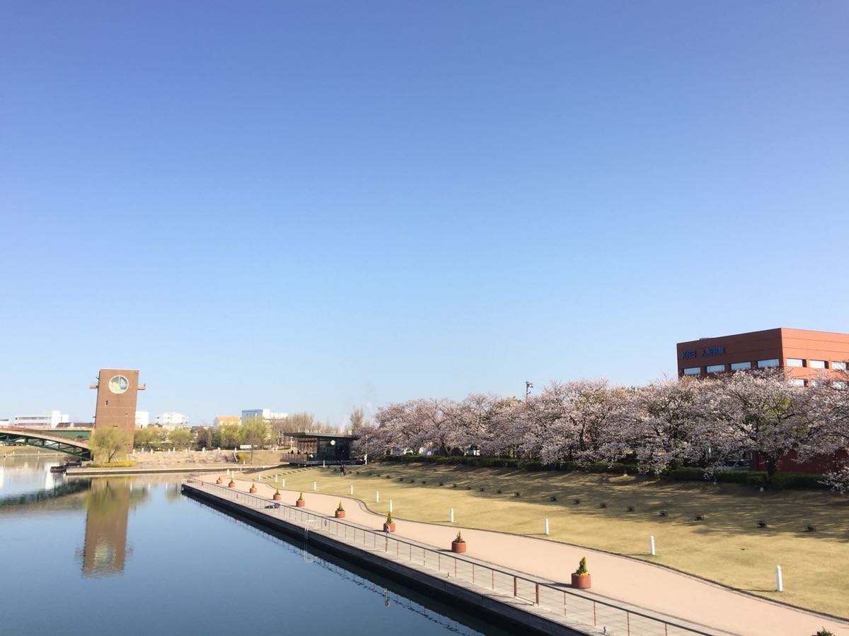 富山 富山環水公園 桜