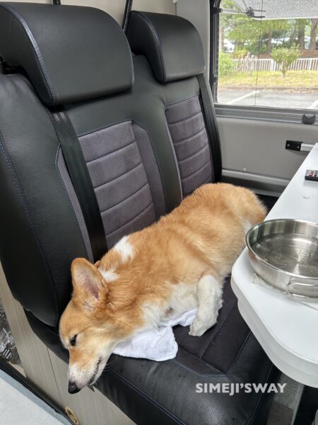 ADRIA 540SP PLUS セカンドシートが狭い