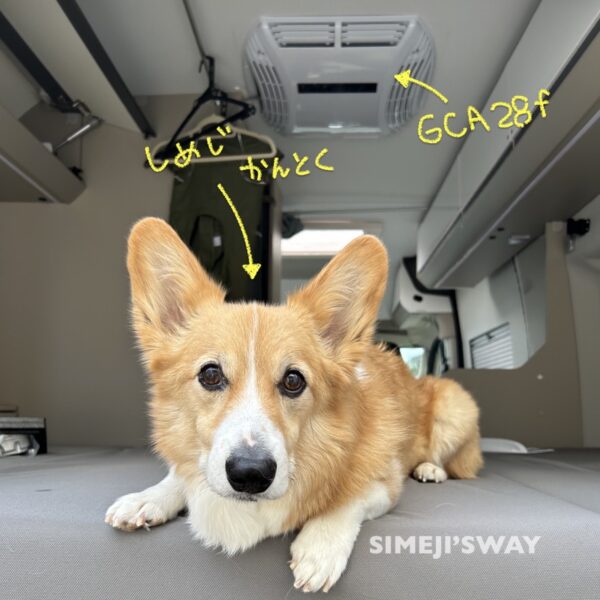 Having the site supervisor, Shimeji the Corgi, perform the final inspection.